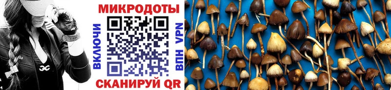 Псилоцибиновые грибы Magic Shrooms  как найти закладки  blacksprut ссылка  Клин 