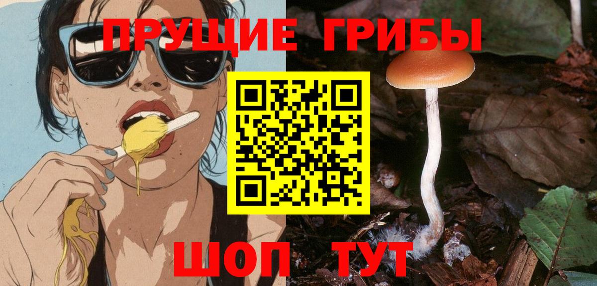 Псилоцибиновые грибы мухоморы Клин