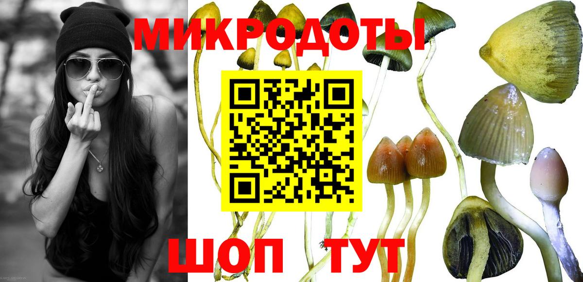 Клин  Псилоцибиновые грибы Psilocybe  закладки  Вход с VPN  Псилоцибиновые грибы Psilocybine cubensis 